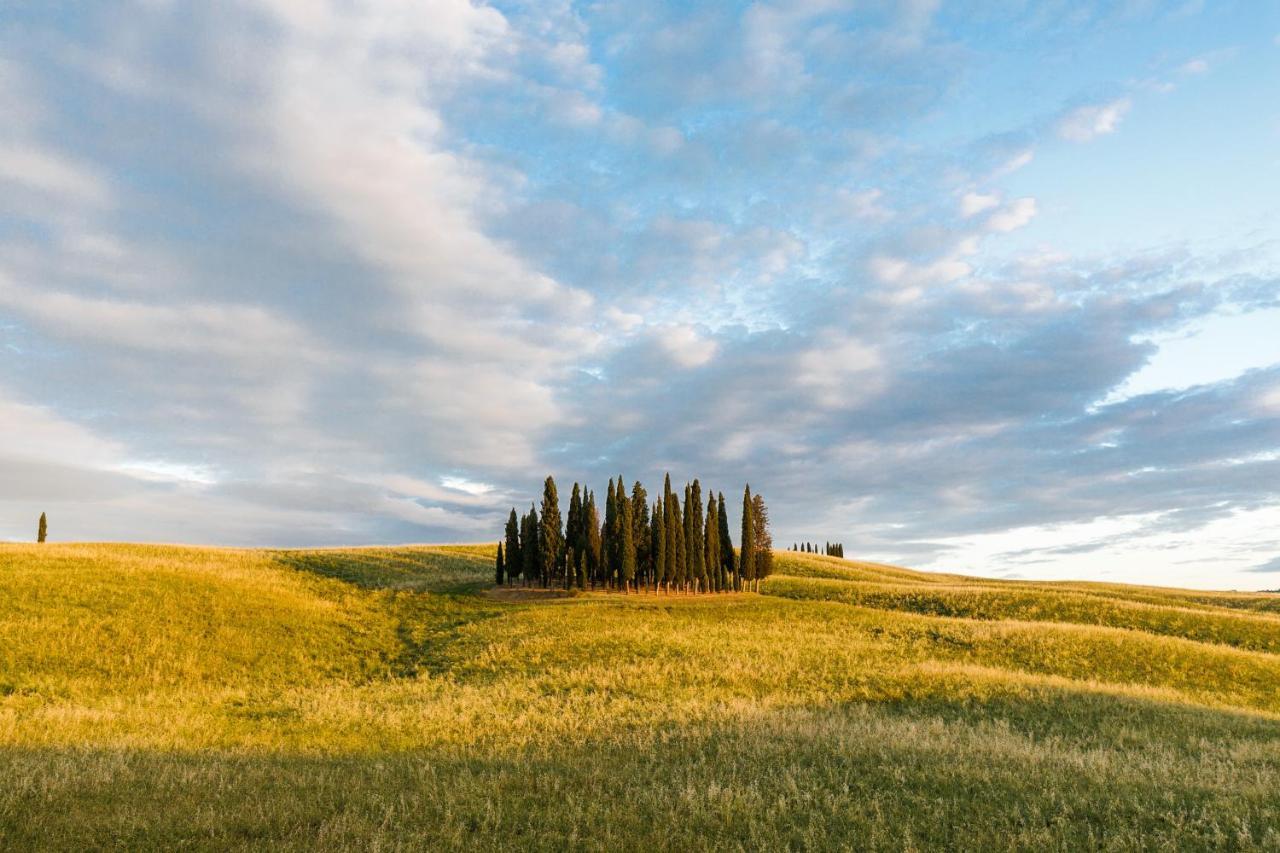 Noi 2 Vacanze - Il Nido Di Gina Contignano Buitenkant foto